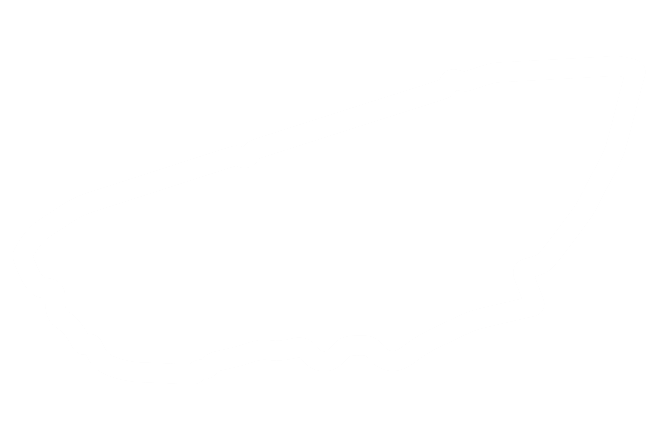 Circuit layout
